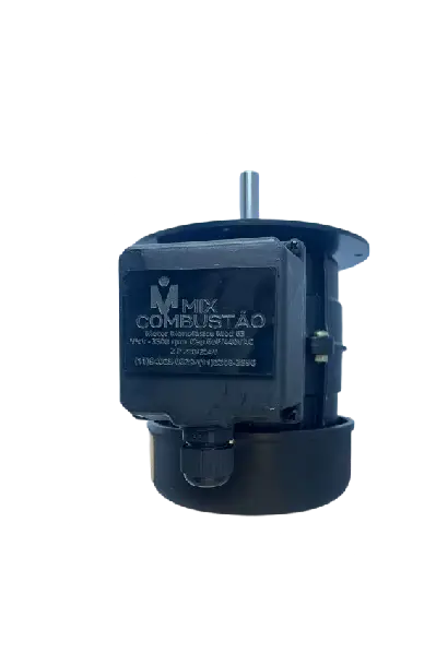 Motor de 250W